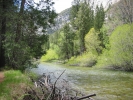 PICTURES/Kings Canyon National Park/t_Kings Canyon-Zumwalt Meadow5.JPG